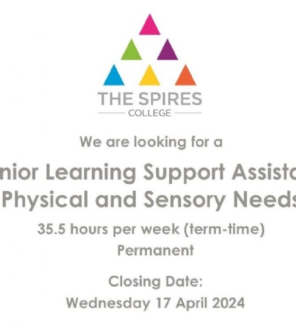 Senior Learning Support Assistant: Physical and Sensory Needs Lead